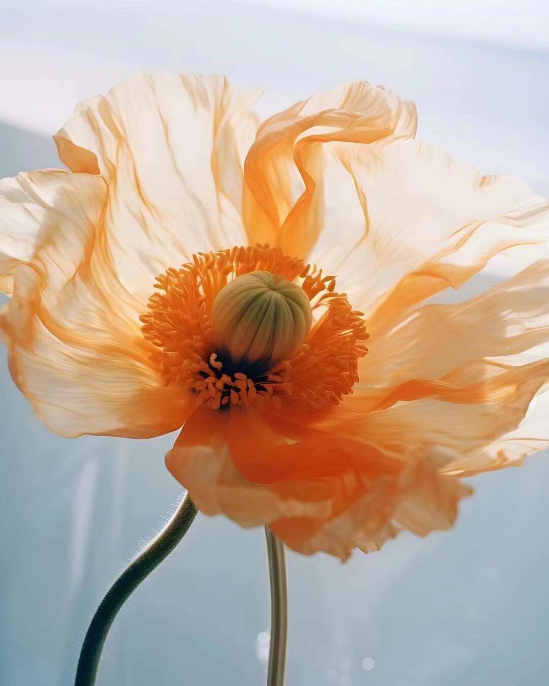 Art 10