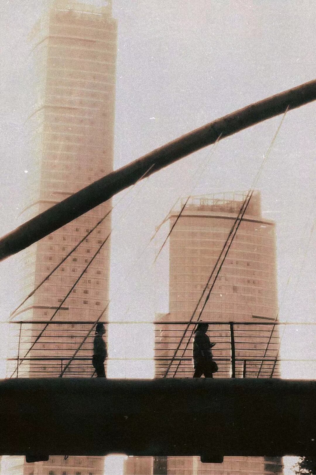 Art 19
